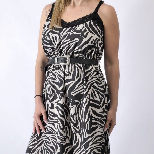 Zebra dress